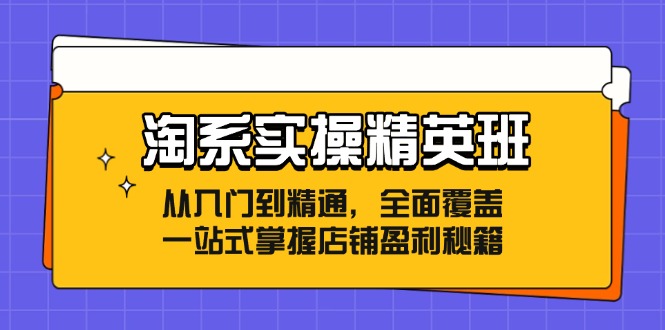 （12276期）淘系实操精英班：从入门到精通，全面覆盖，一站式掌握店铺盈利秘籍-桐创网