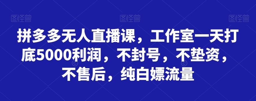 拼多多无人直播课，工作室一天打底5000利润，不封号，不垫资，不售后，纯白嫖流量-桐创网