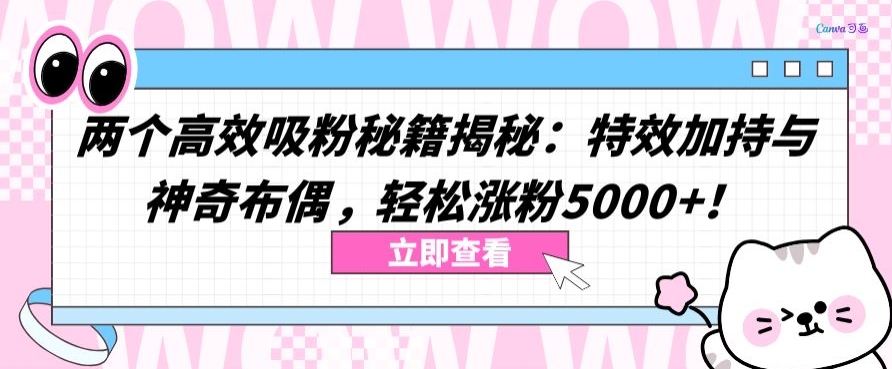 两个高效吸粉秘籍揭秘：特效加持与神奇布偶，轻松涨粉5000+-桐创网