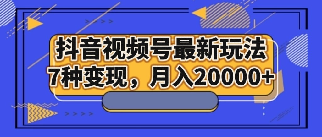 抖音视频号最新玩法，7种变现，月入20000+-桐创网