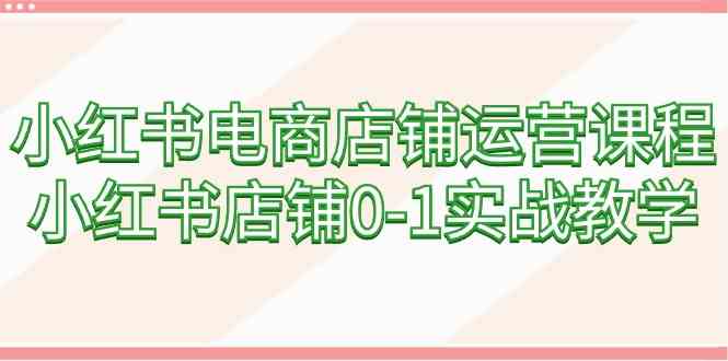 （9249期）小红书电商店铺运营课程，小红书店铺0-1实战教学（60节课）-桐创网