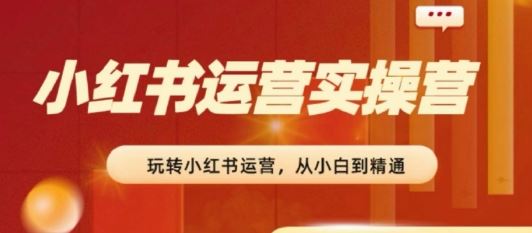 2024小红书运营实操营，​从入门到精通，完成从0~1~100-桐创网