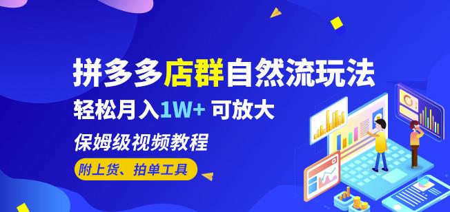 拼多多店群自然流玩法，轻松月入1W+保姆级视频教程（附上货、拍单工具）-桐创网