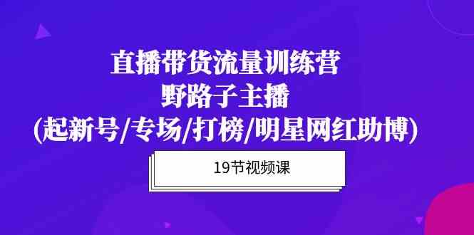 直播带货流量特训营，野路子主播(起新号/专场/打榜/明星网红助博)-桐创网