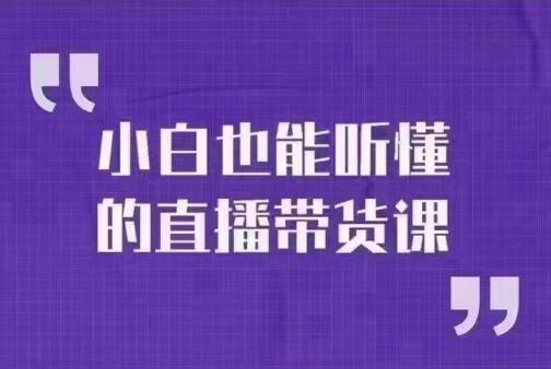 大威本威·小白也能听懂的直播带货课，玩转直播带货，轻松出单-桐创网