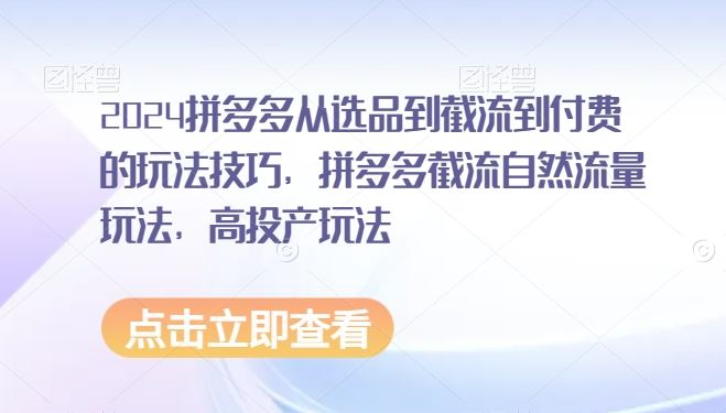 2024拼多多从选品到截流到付费的玩法技巧，拼多多截流自然流量玩法，高投产玩法-桐创网