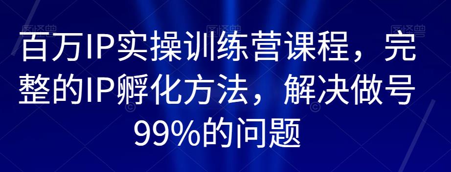 百万IP实操训练营课程，完整的IP孵化方法，解决做号99%的问题-桐创网