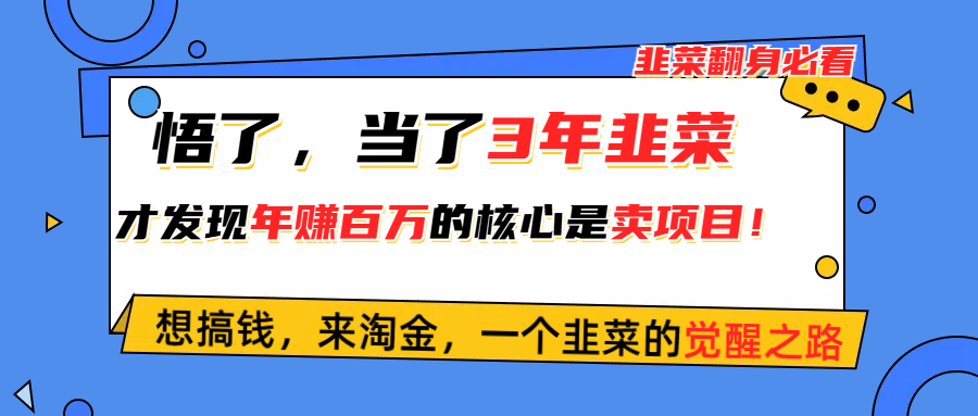 （10759期）悟了，当了3年韭菜，才发现网赚圈年赚100万的核心是卖项目，含泪分享！-桐创网