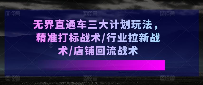 无界直通车三大计划玩法，精准打标战术/行业拉新战术/店铺回流战术-桐创网