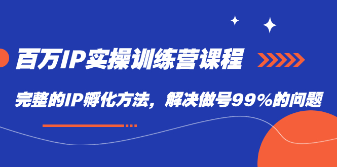 （7354期）百万IP实战训练营课程，完整的IP孵化方法，解决做号99%的问题-桐创网