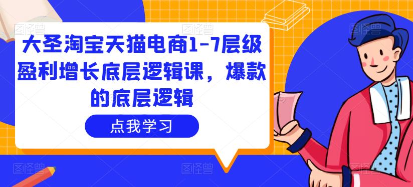 大圣淘宝天猫电商1-7层级盈利增长底层逻辑课，爆款的底层逻辑-桐创网