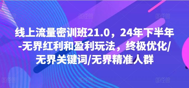 线上流量密训班21.0，24年下半年-无界红利和盈利玩法，终极优化/无界关键词/无界精准人群-桐创网