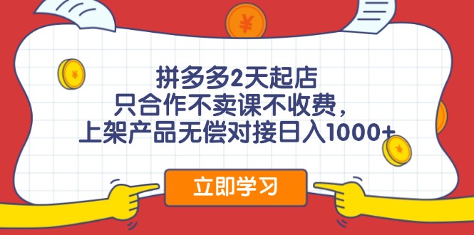 （12356期）拼多多0成本开店，只合作不卖课不收费，0成本尝试，日赚千元+-桐创网