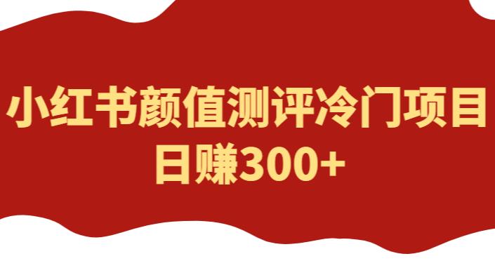 外面1980的项目，小红书颜值测评冷门项目，日赚300+【揭秘】-桐创网