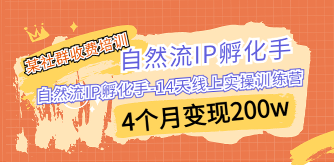 （6924期）某社群收费培训：自然流IP 孵化手-14天线上实操训练营 4个月变现200w-桐创网