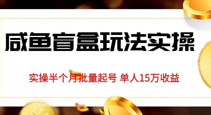 独家首发咸鱼盲盒玩法实操，半个月批量起号单人15万收益【揭秘】-桐创网