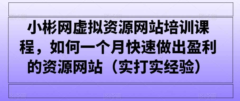 小彬网虚拟资源网站培训课程，如何一个月快速做出盈利的资源网站（实打实经验）-桐创网