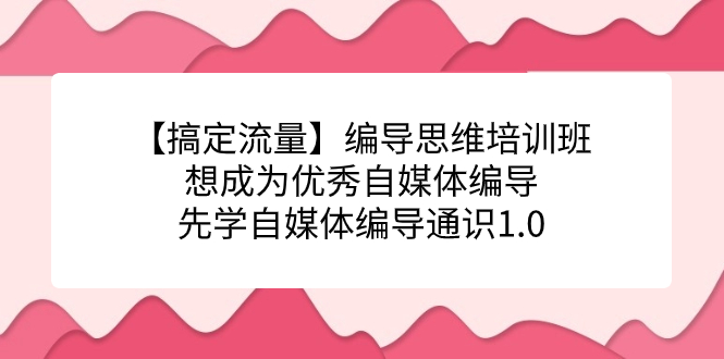 （7281期）【搞定流量】编导思维培训班，想成为优秀自媒体编导先学自媒体编导通识1.0-桐创网