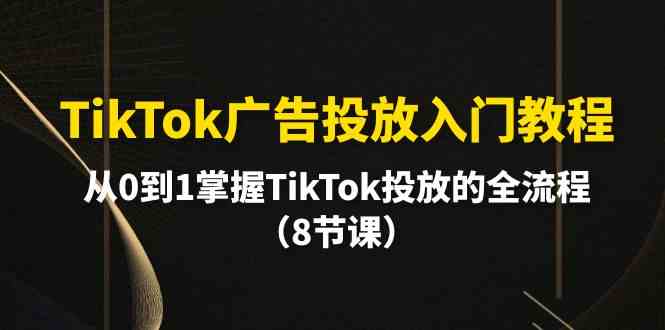 （10085期）TikTok广告投放入门教程，从0到1掌握TikTok投放的全流程（8节课）-桐创网