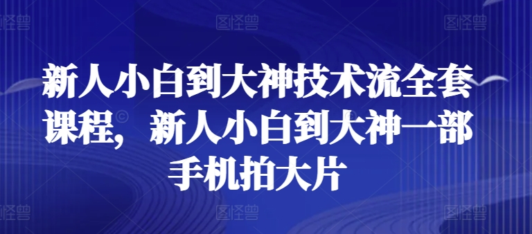 新人小白到大神技术流全套课程，新人小白到大神一部手机拍大片-桐创网