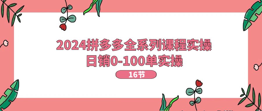 （11222期）2024拼多多全系列课程实操，日销0-100单实操【16节课】-桐创网