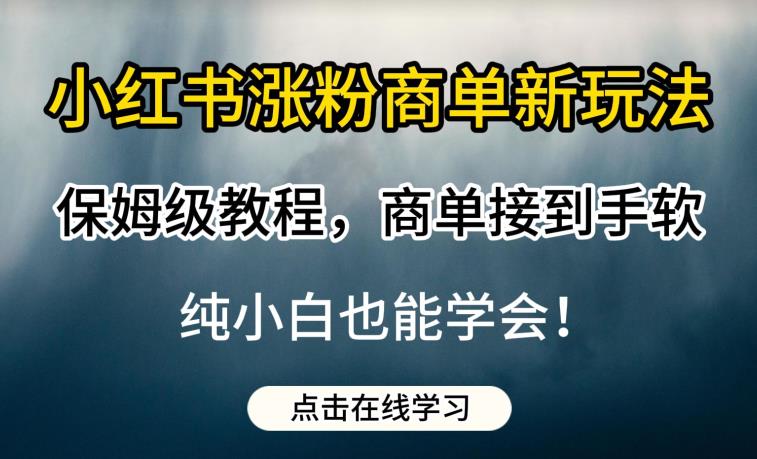 小红书涨粉商单新玩法，保姆级教程，商单接到手软，纯小白也能学会【揭秘】-桐创网