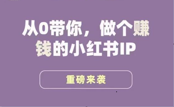 小红书运营大宝典，从0带你做个赚钱的小红书IP-桐创网