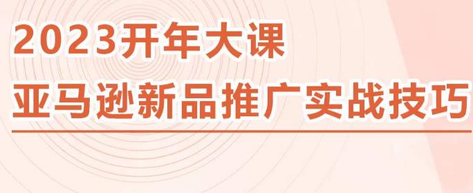 2023亚马逊新品推广实战技巧，线下百万美金课程的精简版，简单粗暴可复制，实操性强的推广手段-桐创网