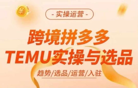 跨境拼多多TEMU实操与选品，多多temu跨境选品运营实操-桐创网