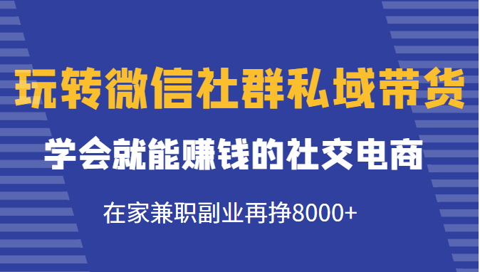 玩转微信社群私域带货，学会就能赚钱的社交电商，在家兼职副业再挣8000+-桐创网