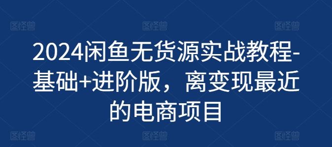 2024闲鱼无货源实战教程-基础+进阶版，离变现最近的电商项目-桐创网