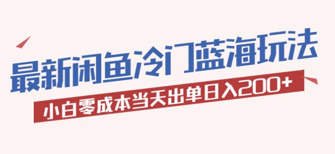 2023最新闲鱼冷门蓝海玩法，小白零成本当天出单日入200+【揭秘】-桐创网