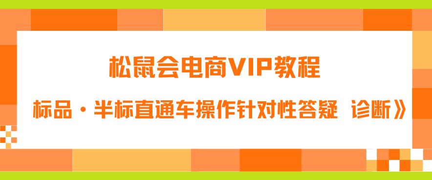 松鼠会电商VIP教程：松鼠《付费推广标品·半标直通车操作针对性答疑&诊断》-桐创网