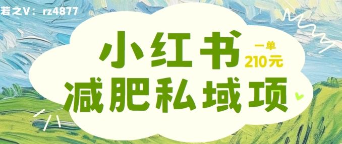 小红书减肥粉，私域变现项目，一单就达210元，小白也能轻松上手【揭秘】-桐创网