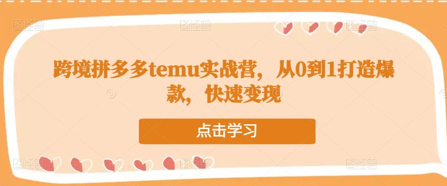 跨境拼多多temu实战营，从0到1打造爆款，快速变现-桐创网