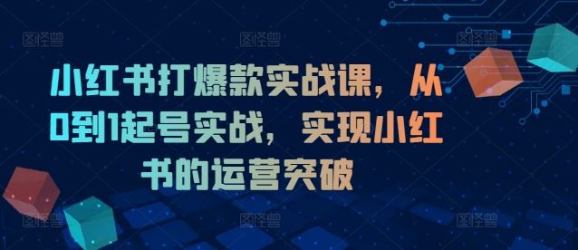 小红书打爆款实战课，从0到1起号实战，实现小红书的运营突破-桐创网