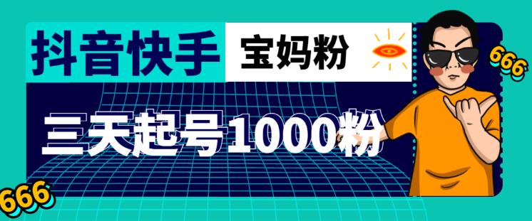 抖音快手三天起号涨粉1000宝妈粉丝的核心方法【详细玩法教程】-桐创网