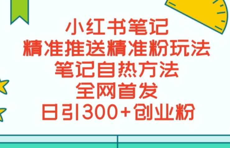 最新小红书笔记精准推送2000+精准粉，单日导流私欲最少300【脚本+教程】-桐创网