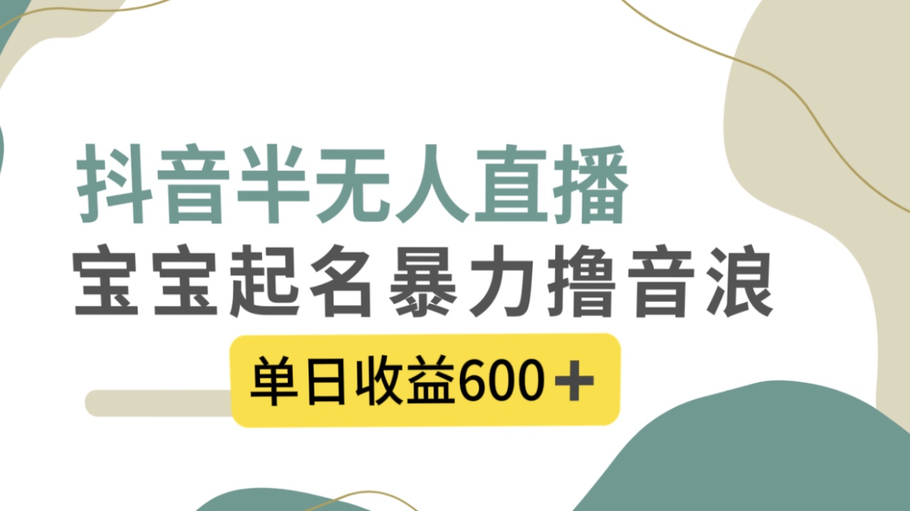 （8192期）抖音半无人直播，宝宝起名，暴力撸音浪，单日收益600+-桐创网