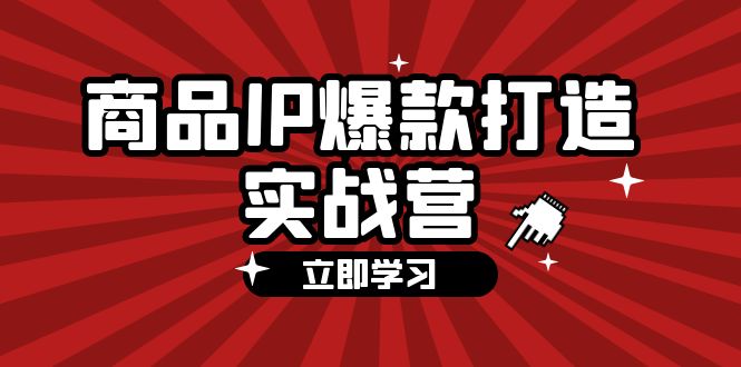 （12136期）商品-IP爆款打造实战营【第四期】，手把手教你打造商品IP，爆款 不断-桐创网