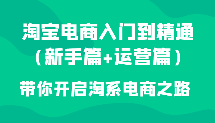 淘宝电商入门到精通（新手篇+运营篇）带你开启淘系电商之路-桐创网