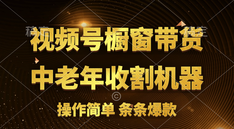 （11009期）[你的孩子成功取得高位]视频号最火爆赛道，橱窗带货，流量分成计划，条…-桐创网