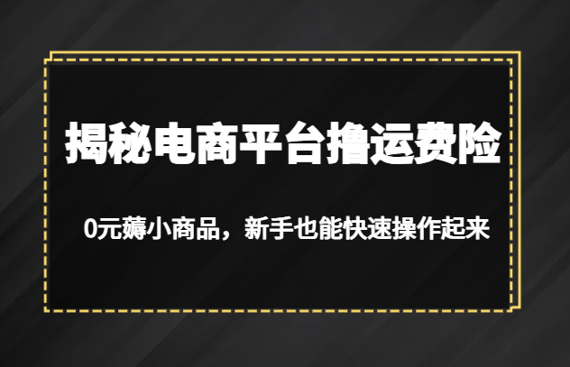 揭秘电商平台撸运费险，0元薅小商品，新手也能快速操作起来-桐创网