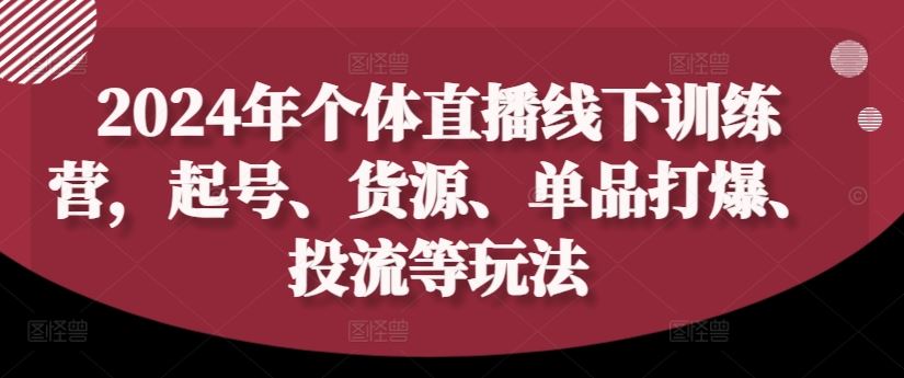 2024年个体直播训练营，起号、货源、单品打爆、投流等玩法-桐创网