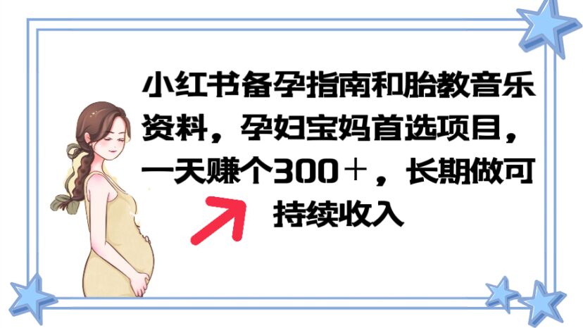 （6114期）小红书备孕指南和胎教音乐资料 孕妇宝妈首选项目 一天赚个300＋长期可做-桐创网