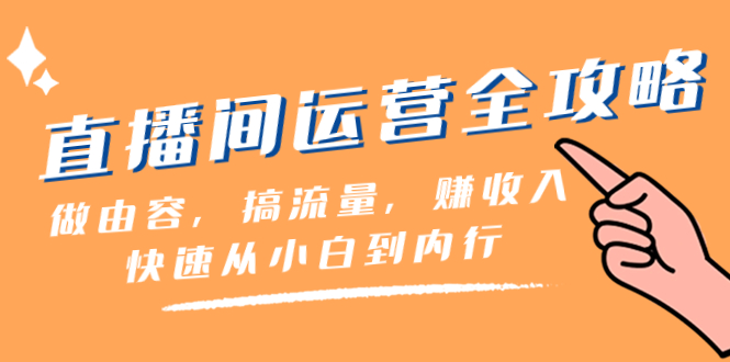 （8242期）直播间-运营全攻略：做由容，搞流量，赚收入一快速从小白到内行（46节课）-桐创网