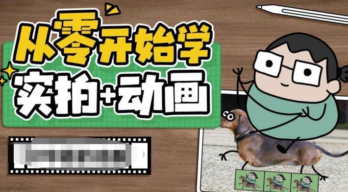 （6570期）从零开始学实拍加动画，实拍加动画创意教程（49节视频课）-桐创网