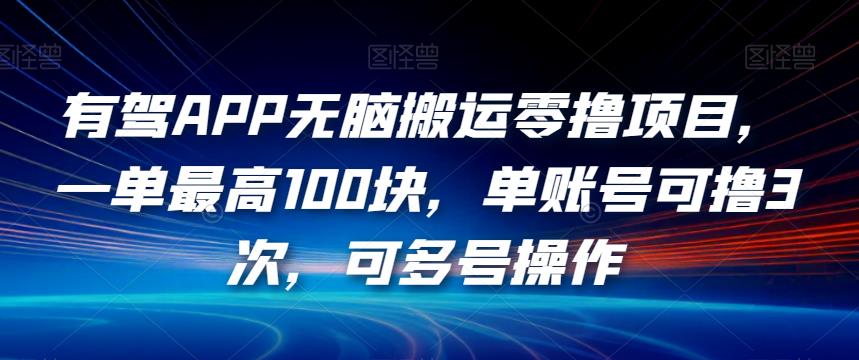 有驾APP无脑搬运零撸项目，一单最高100块，单账号可撸3次，可多号操作【揭秘】-桐创网