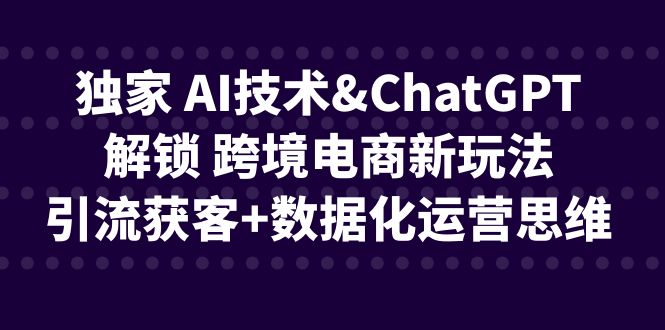 （6599期）独家 AI技术&ChatGPT解锁 跨境电商新玩法，引流获客+数据化运营思维-桐创网