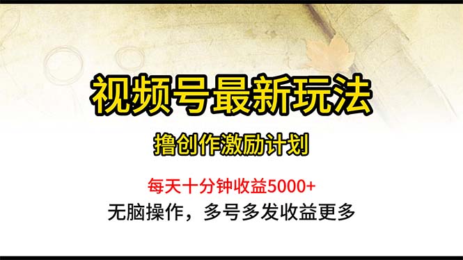 （10591期）视频号最新玩法，每日一小时月入5000+-桐创网